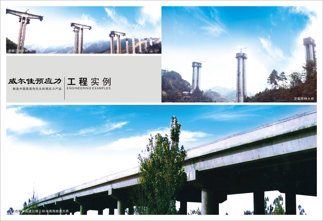 柳州威尔佳机械有限公司产品样册