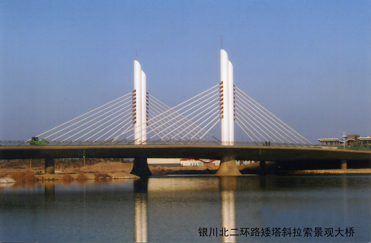 银川北环矮塔斜拉工程图